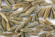 Cumin - Spice Profile