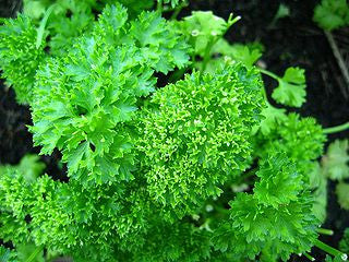 Blend Highlight: Fines Herbes
