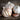 Spice Profile: Garlic