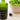 Homemade Salad Dressing